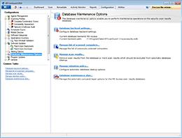 Database maintenance options